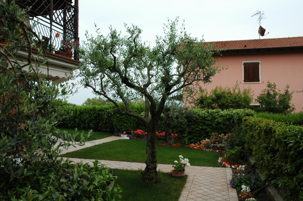 Quadrifamiliare con giardino privato 2