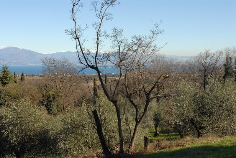 Tenuta con villa padronale 1