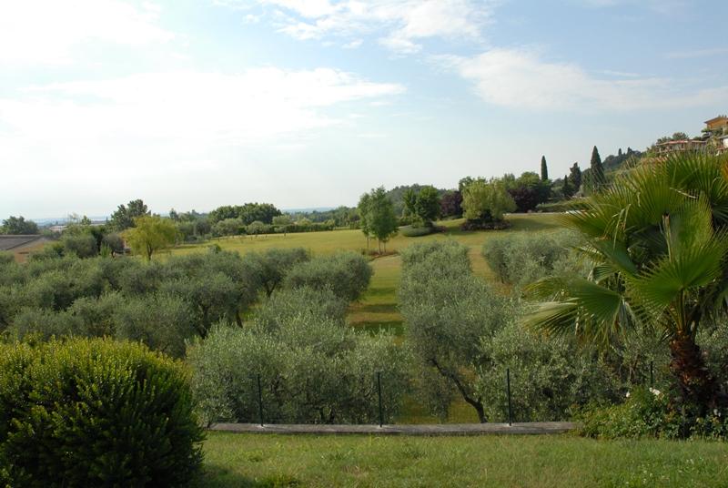 Villa con vista sul parco 3